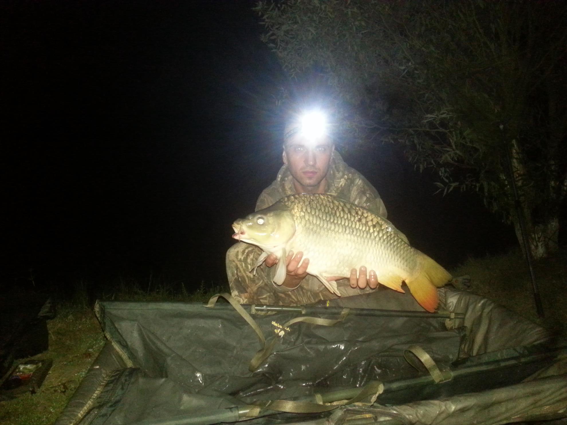 Un colt de rai Bulzesti - 20150902041806.jpg